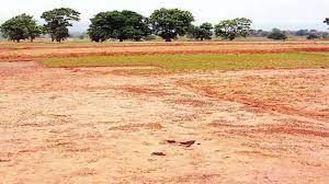 Farm in Hubli